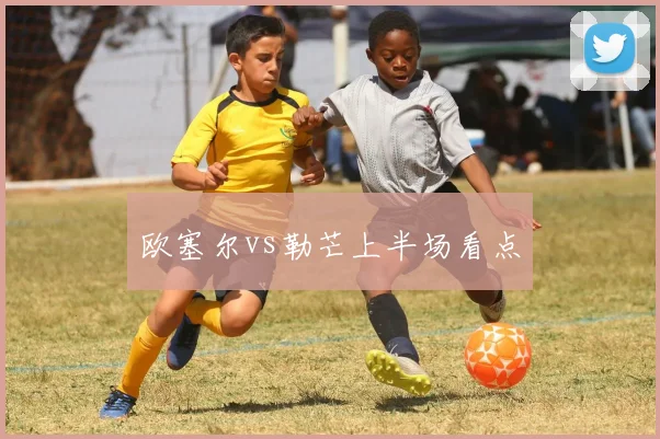 欧塞尔vs勒芒上半场看点
