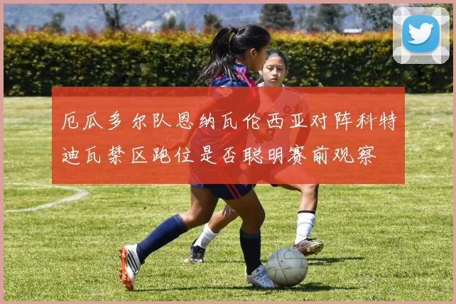 厄瓜多尔队恩纳瓦伦西亚对阵科特迪瓦禁区跑位是否聪明赛前观察