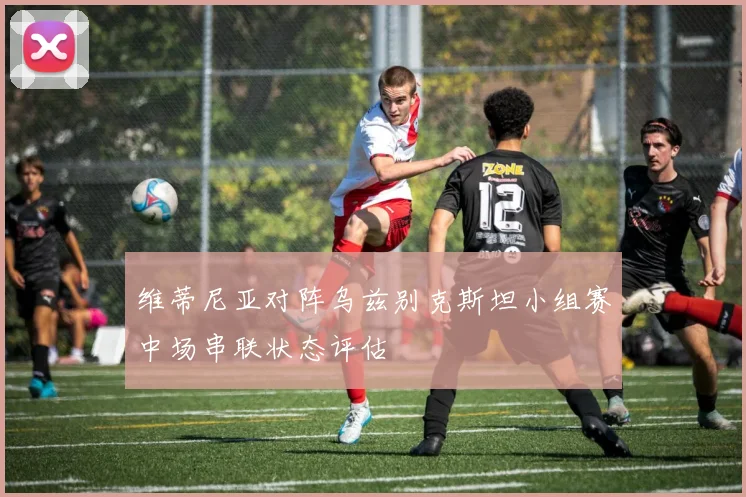 维蒂尼亚对阵乌兹别克斯坦小组赛中场串联状态评估